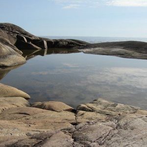 Meet your Posher, Brenda